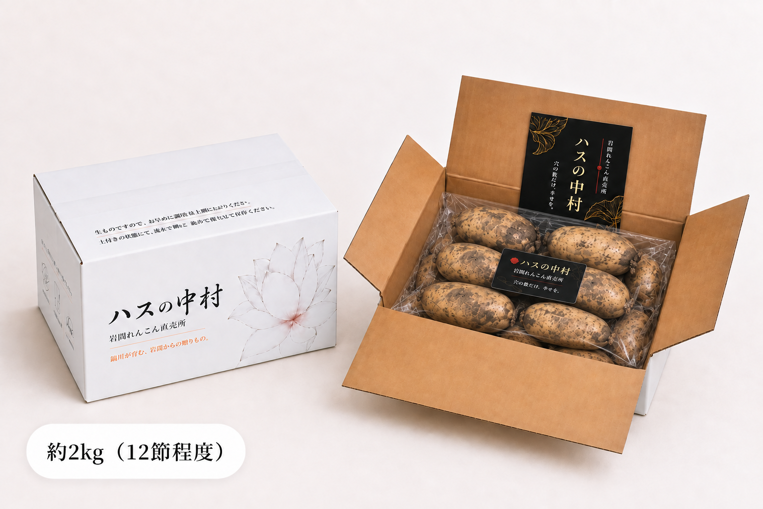 オリジナル箱に6節ずつ2段で入った土付き岩国れんこん 約2kg・約12節